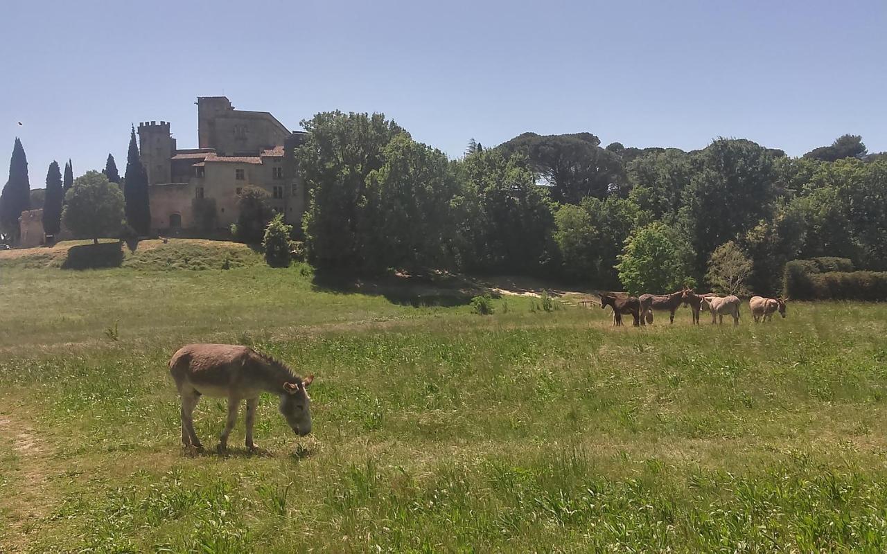 مبيت وإفطار Puyvert Une Chambre En Luberon المظهر الخارجي الصورة