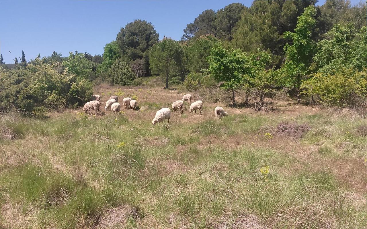 مبيت وإفطار Puyvert Une Chambre En Luberon المظهر الخارجي الصورة